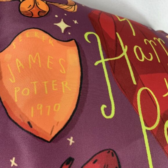 Harry Potter Decorative Throw Pillow Howlers Sorcerers Stone Sorting Hat Frog Ra - Picture 7 of 12